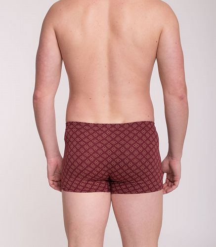 Трусы мужские 7039/200