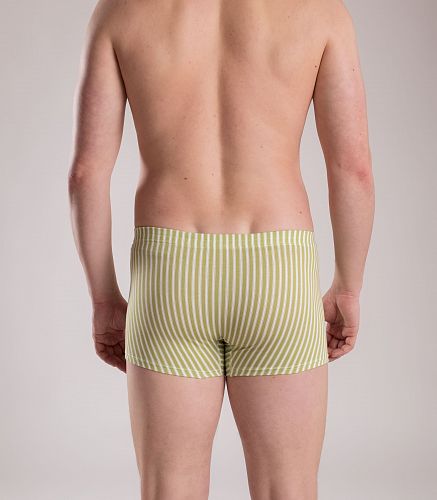 Трусы мужские 7039/205