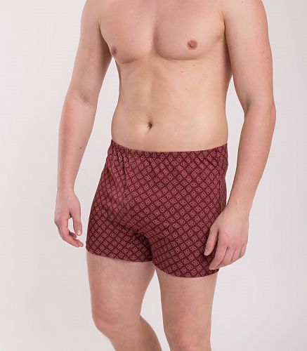 Трусы мужские 7017/53