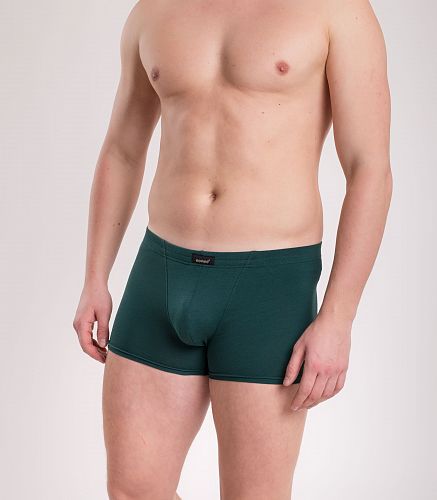 Трусы мужские 7039/198