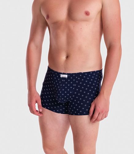 Трусы мужские 7039/184