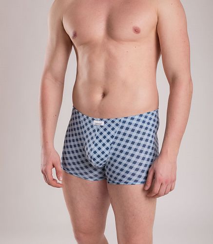 Трусы мужские 7039/206