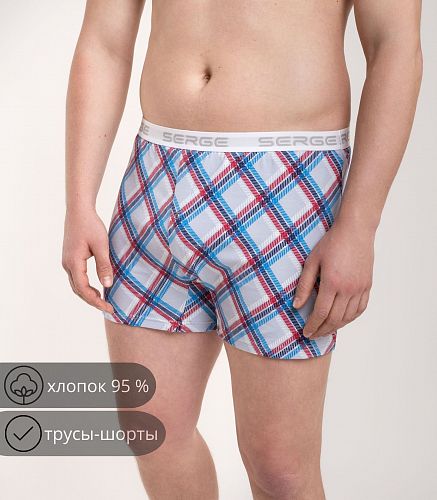 Трусы мужские 7017/56