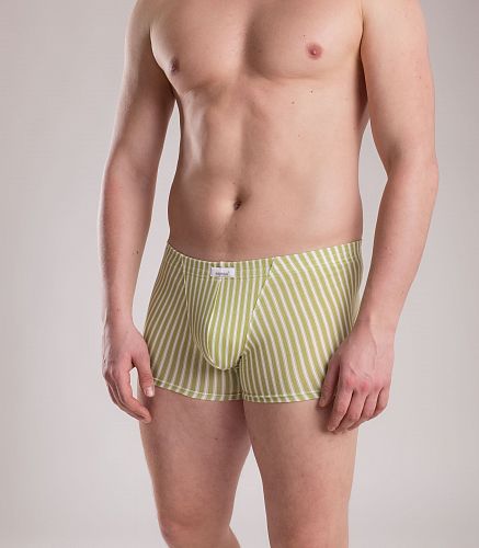 Трусы мужские 7039/205