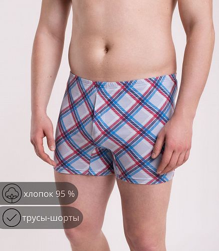 Трусы мужские 7001/92