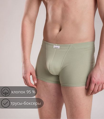 Трусы мужские 7039/203