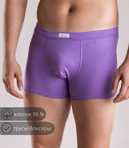 Трусы мужские 7011/155