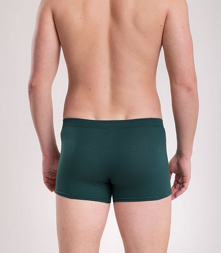 Трусы мужские 7039/198