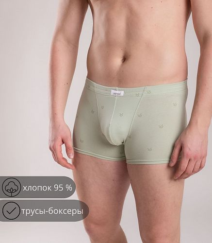 Трусы мужские 7039/204