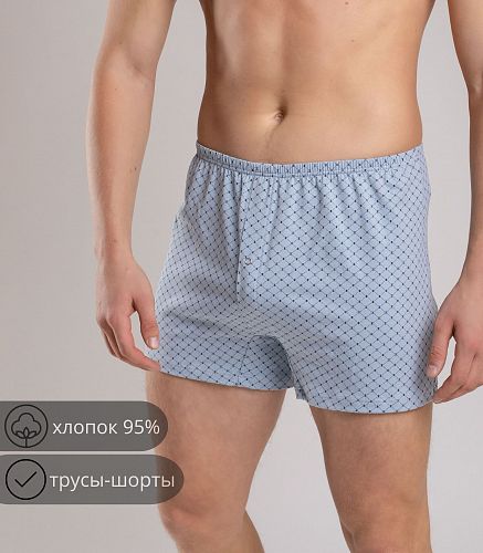 Трусы мужские 7017/40