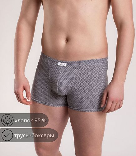 Трусы мужские 7039/208