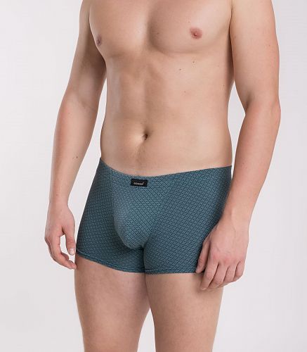 Трусы мужские 7039/192