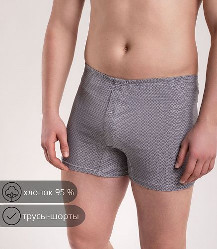 Трусы мужские 7001/91