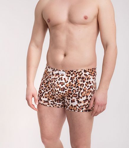 Трусы мужские 7039/207