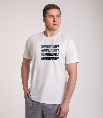 Фуфайка мужская 7415/152