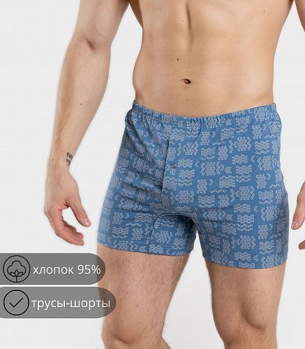 Трусы мужские 7001/59