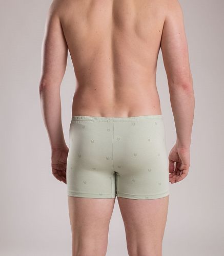 Трусы мужские 7001/89