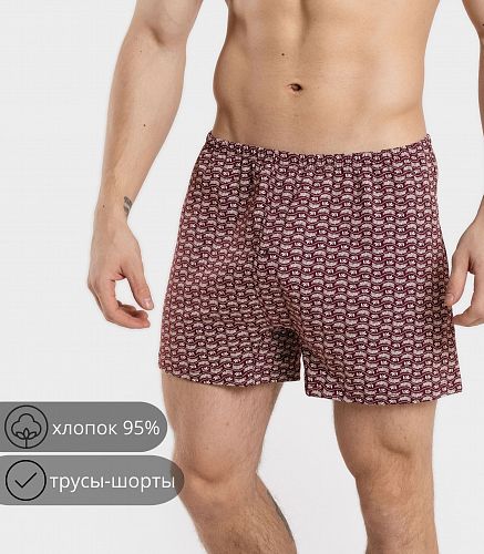 Трусы мужские 7017/22
