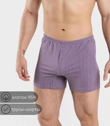 Трусы мужские 7001/58
