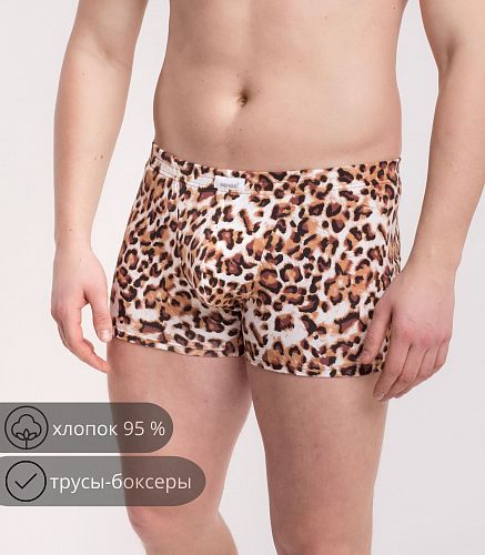 Трусы мужские 7039/207