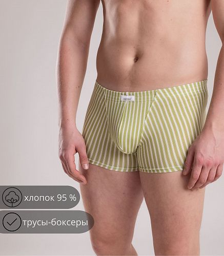 Трусы мужские 7039/205