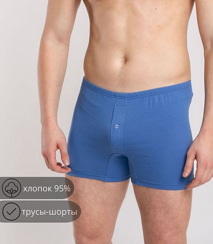 Трусы мужские 7001/66