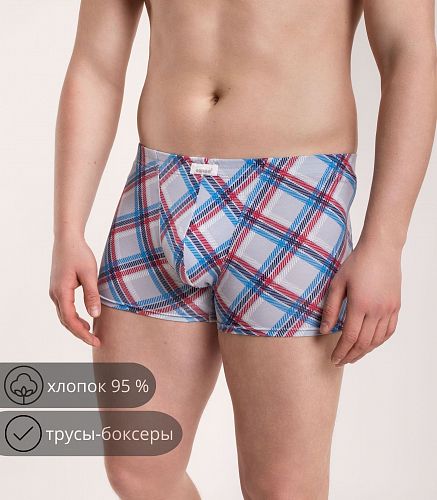 Трусы мужские 7039/209