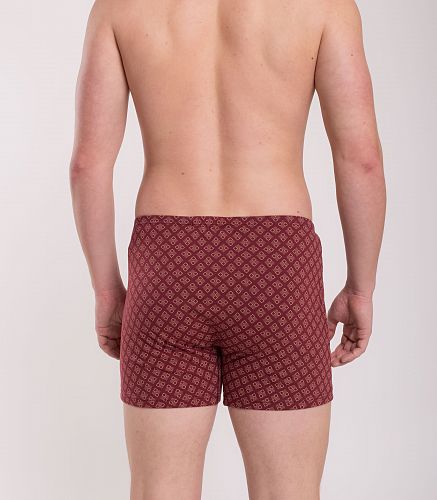 Трусы мужские 7017/53