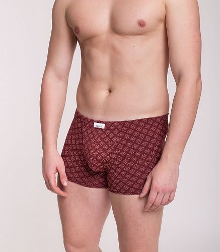 Трусы мужские 7039/200